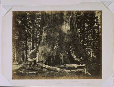  - Carleton Watkins