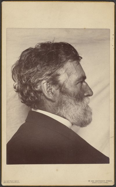 Portrait de George Davidson - Carleton Watkins