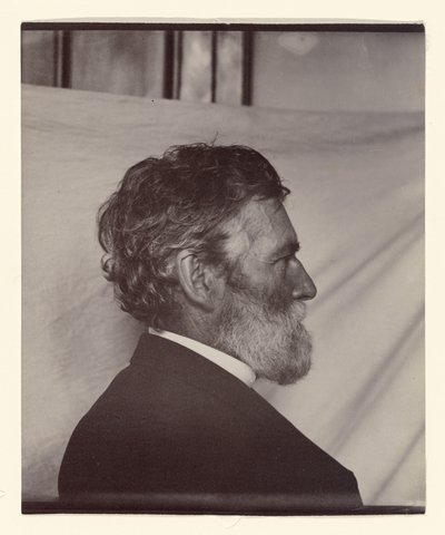  - Carleton Watkins