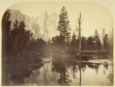  - Carleton Watkins