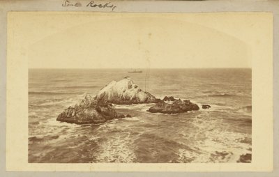Seal Rocks. - Carleton Watkins
