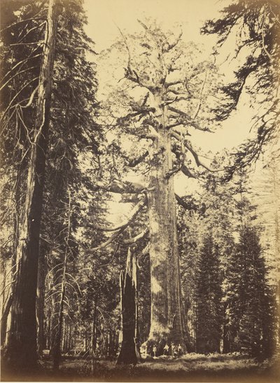  - Carleton Watkins