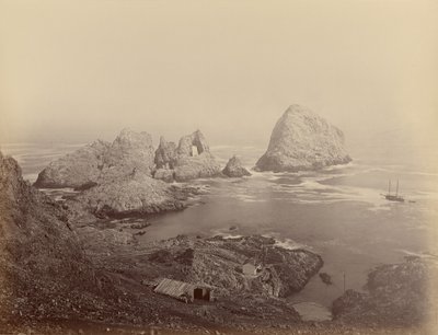  - Carleton Watkins