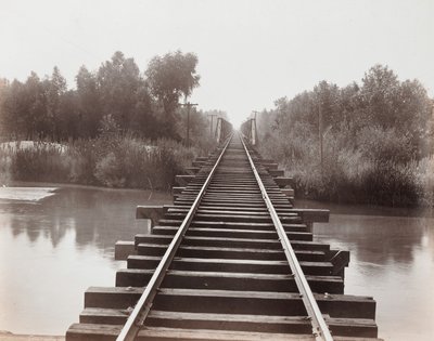  - Carleton Watkins