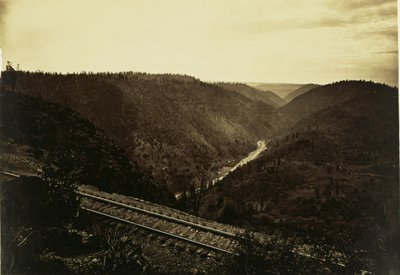  - Carleton Watkins