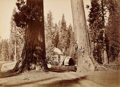  - Carleton Watkins