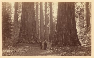  - Carleton Watkins