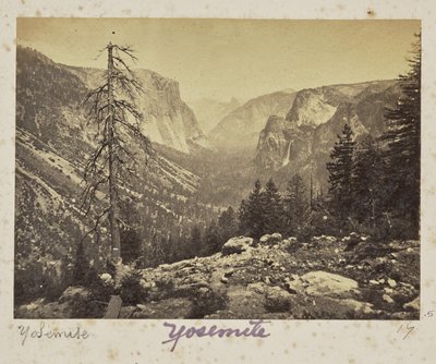  - Carleton Watkins