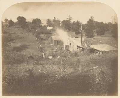  - Carleton Watkins