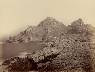  - Carleton Watkins