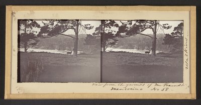 Vue depuis les terrains de M. Freundt, Mendocino - Carleton Watkins
