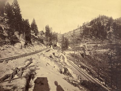 Vue sur le lac Tahoe - Carleton Watkins