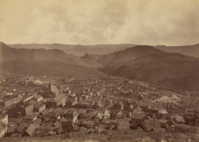  - Carleton Watkins