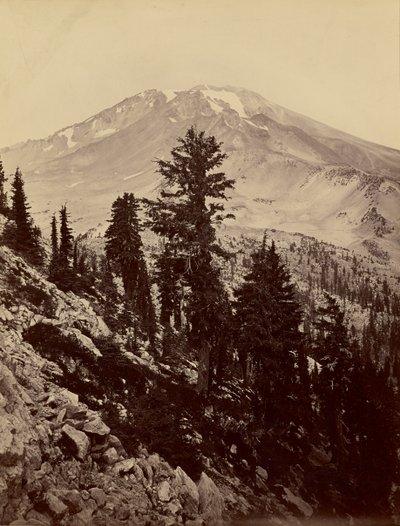 - Carleton Watkins