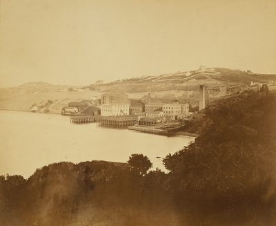  - Carleton Watkins