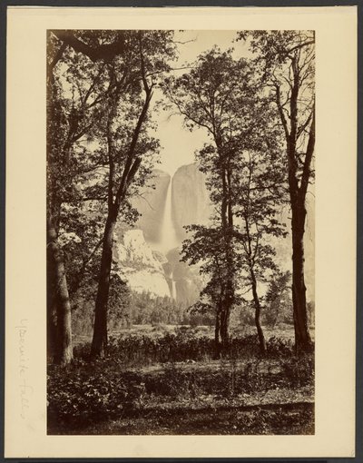  - Carleton Watkins