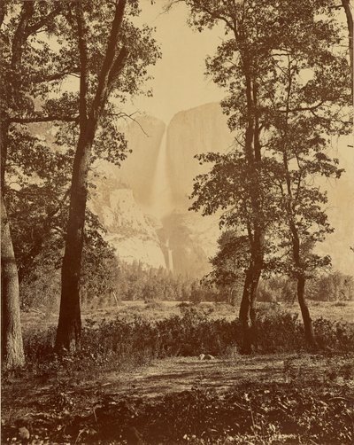  - Carleton Watkins