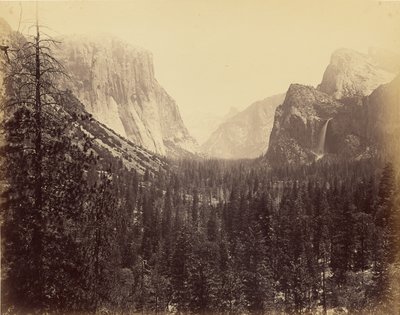  - Carleton Watkins