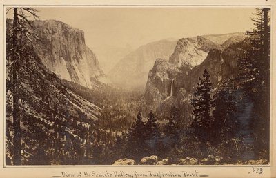  - Carleton Watkins