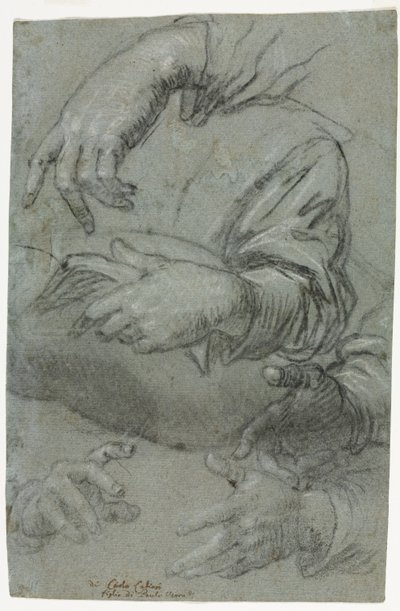 Études de mains (recto) - Carletto Caliari