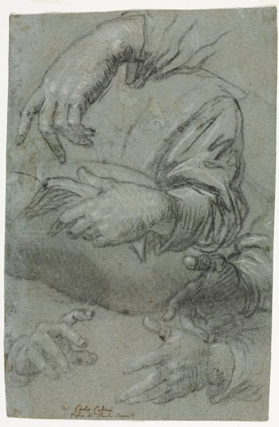 Études de mains recto, vers 1586 - Carletto Caliari