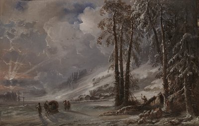 Forêt au pied des montagnes de l