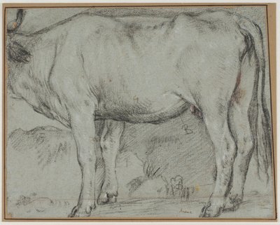 Vache debout (tête manquante) - Carlo Caliari