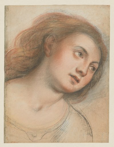 Étude pour tête féminine (verso); Tête du Christ (recto) - Carlo Francesco Nuvolone