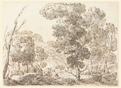 Route dans un pays montagneux - Carlo Marchionni