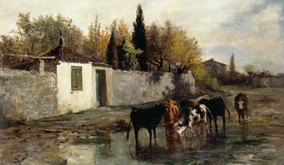 Vaches à l