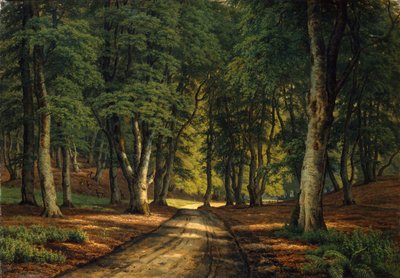 Paysage boisé avec des cerfs - Carsten Henrichsen
