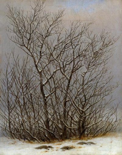 Buisson dans la neige - Caspar David Friedrich