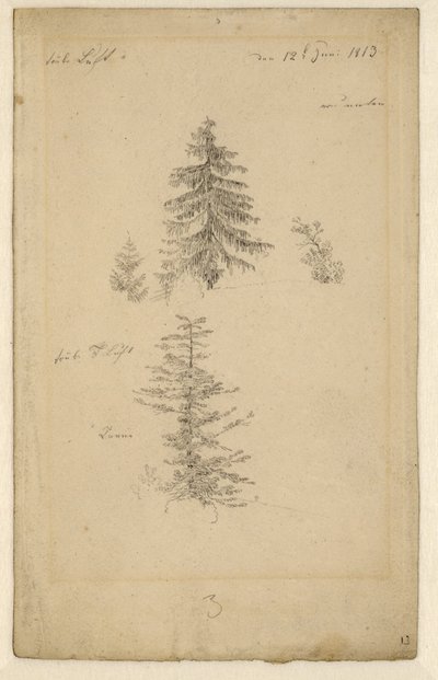 Allemand : Zwei Tannenstudien Deux études sur les sapins - Caspar David Friedrich