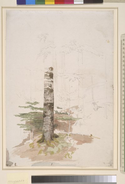 Étude de l