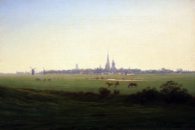 Prairies près de Greifswald - Caspar David Friedrich
