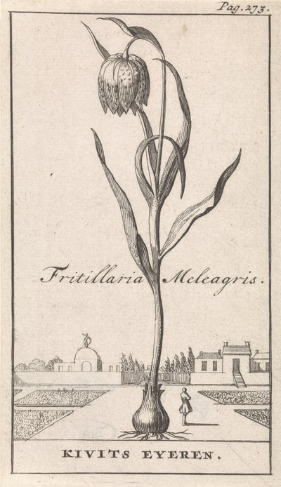 Page de titre et huit estampes avec des fleurs - Caspar Luyken