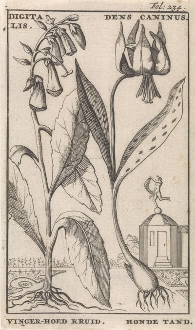 Page de titre et huit estampes avec des fleurs - Caspar Luyken
