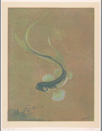 Poisson nageant - Casper M.L. Kouw (signed by artist)
