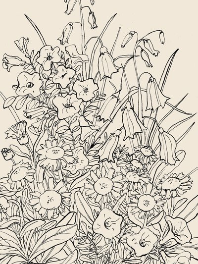 Fleurs sauvages du jardin - Catalina Somolinos