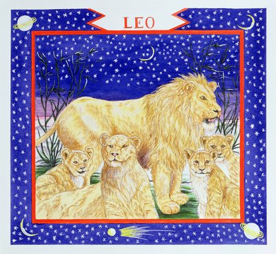 Lion - Catherine Bradbury