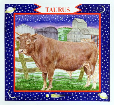 Taureau - Catherine Bradbury