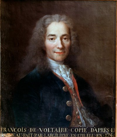 Portrait de Voltaire - Catherine Lusurier