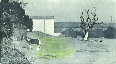 Face à une nouvelle croissance, 2016 (Aquatinte et gravure à la pointe sèche) - Catherine Sutcliffe-Fuller