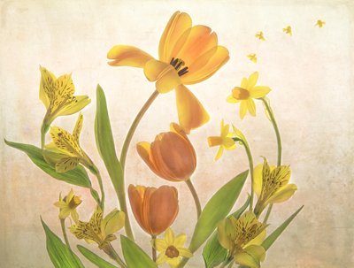 Fleurs du printemps doré - Catherine Wang