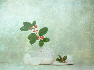 Pierre naturelle aux baies Zen - Catherine Wang
