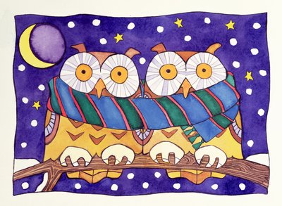 Chouettes la nuit - Cathy Baxter