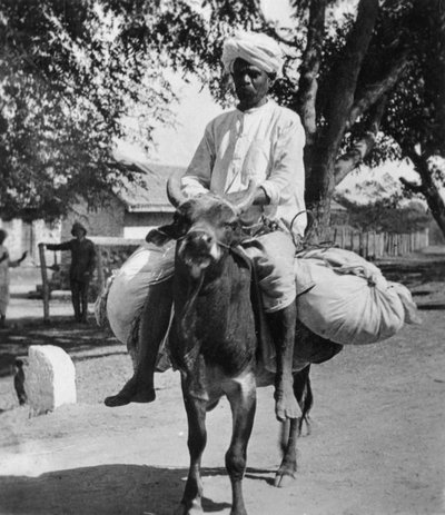 Le blanchisseur, Inde, fin 19e ou début 20e siècle - Cavanders Ltd