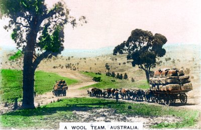 Une équipe de laine, Australie, vers les années 1920 - Cavenders Ltd