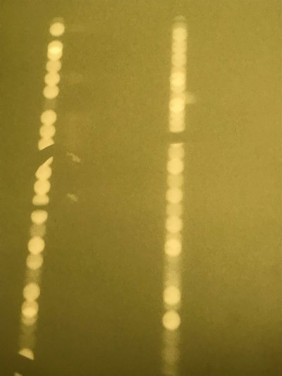 Composition - Light, 2019 (photo) - Cécile Jamet