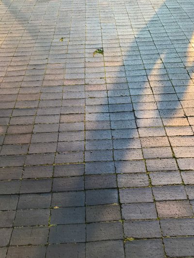Composition - Light, 2021 (photo) - Cécile Jamet